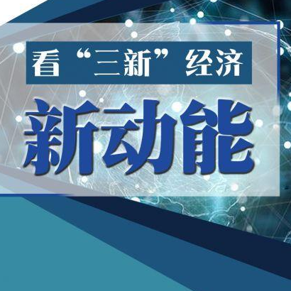 2020年我國“三新”經(jīng)濟增加值相當(dāng)于國內(nèi)生產(chǎn)總值的比重為17.08%